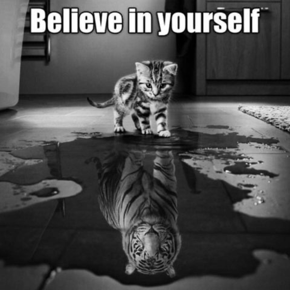 Meet your Posher, Audrey